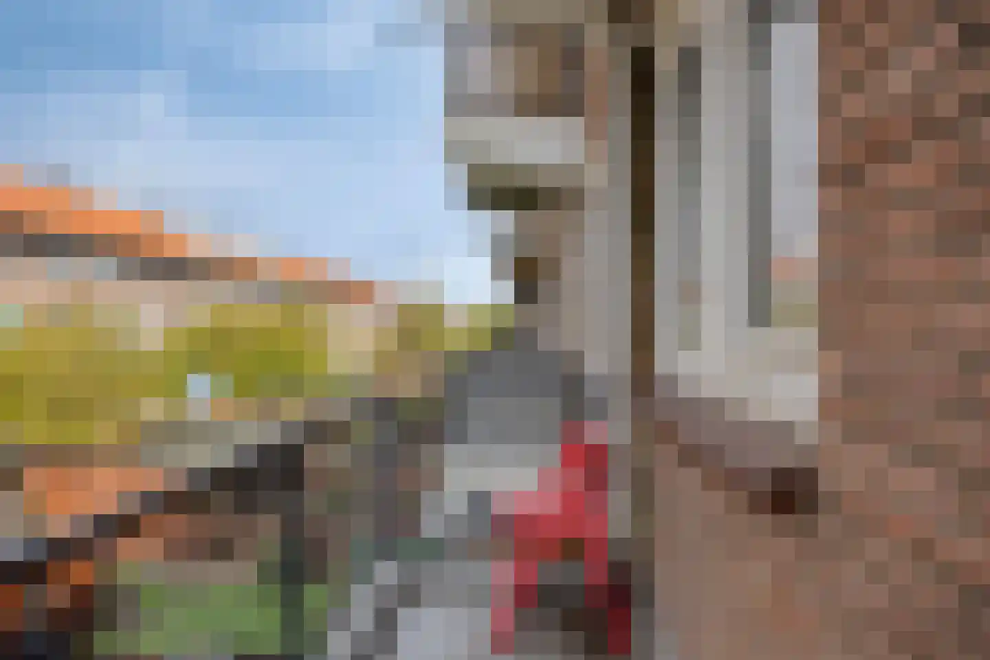 Fazantstraat 137 A Rotterdam thumbnail 21