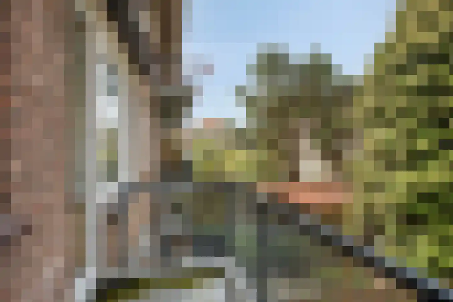 Fazantstraat 137 A Rotterdam thumbnail 22