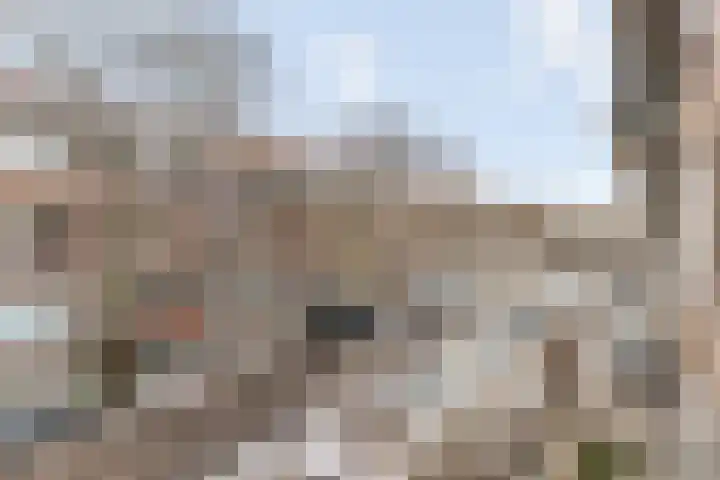 Fazantstraat 140 B Rotterdam thumbnail 17