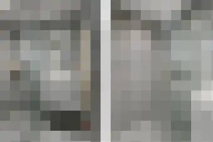 Fazantstraat 16 Alphen aan den Rijn thumbnail 15