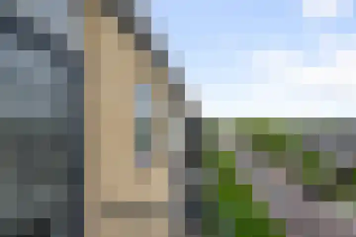Fazantstraat 16 Alphen aan den Rijn thumbnail 18