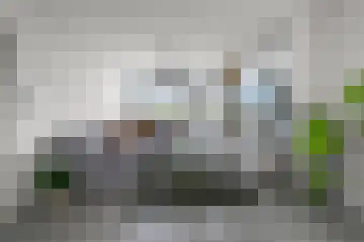 Fazantstraat 16 Alphen aan den Rijn foto 2