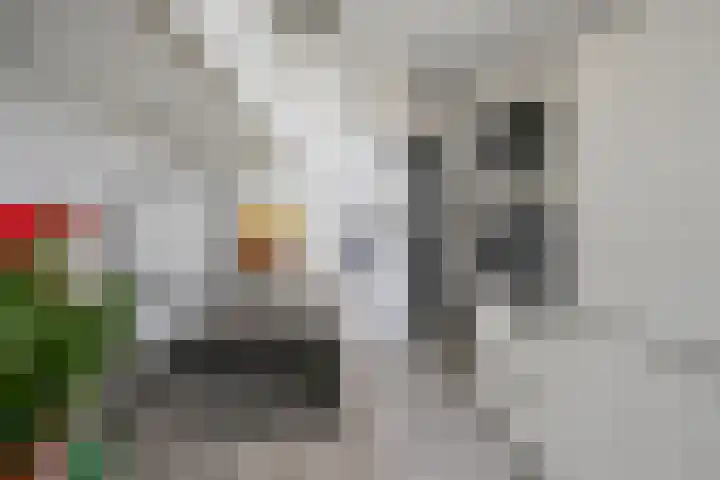 Fazantstraat 16 Alphen aan den Rijn thumbnail 8