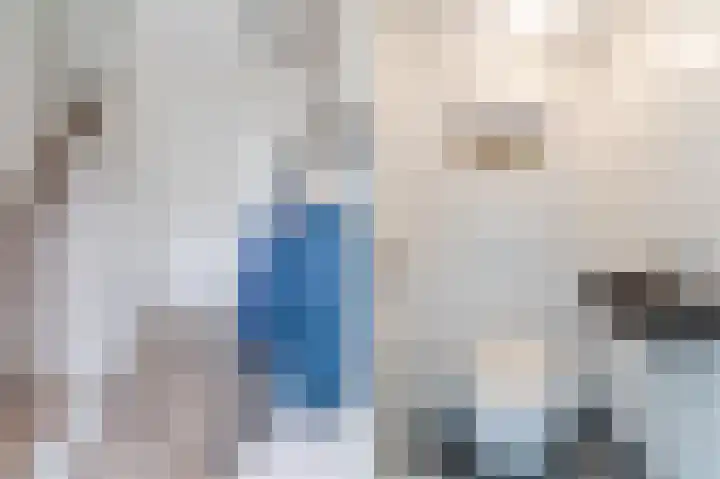 Fazantstraat 16 Zaltbommel thumbnail 16