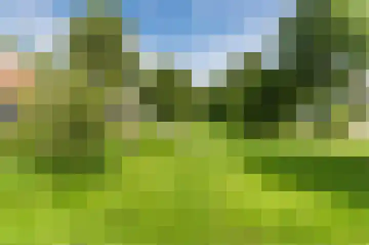 Fazantstraat 16 Zaltbommel thumbnail 41