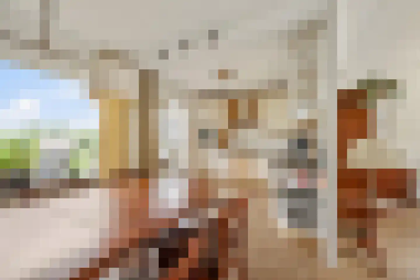 Fazantstraat 18 Lobith thumbnail 13