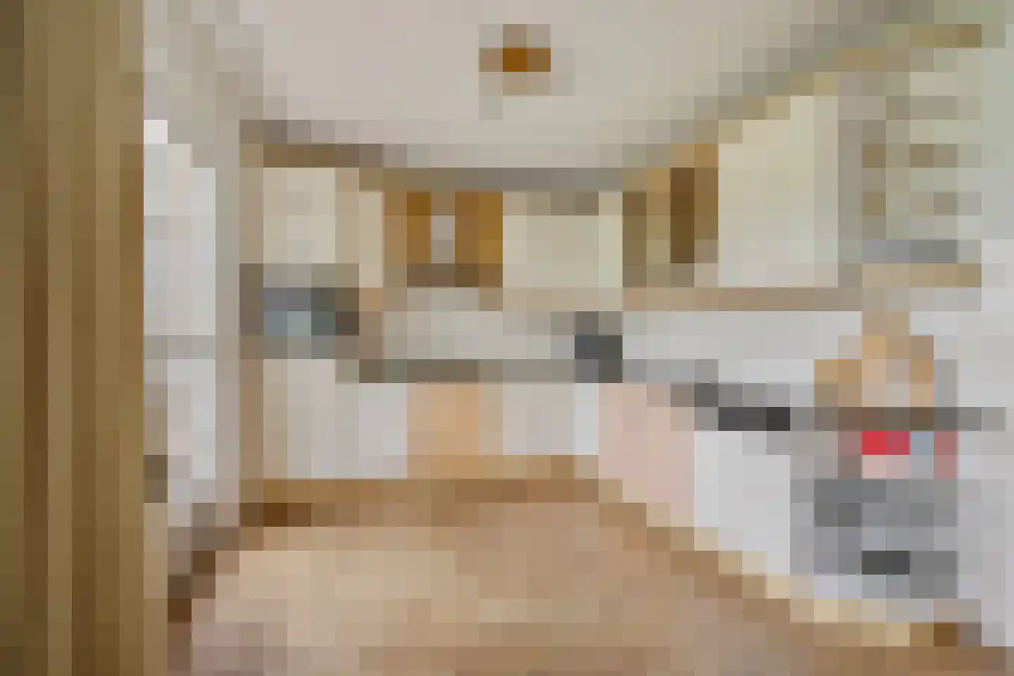 Fazantstraat 18 Lobith thumbnail 14