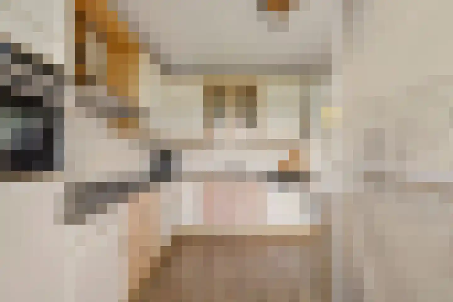 Fazantstraat 18 Lobith thumbnail 15