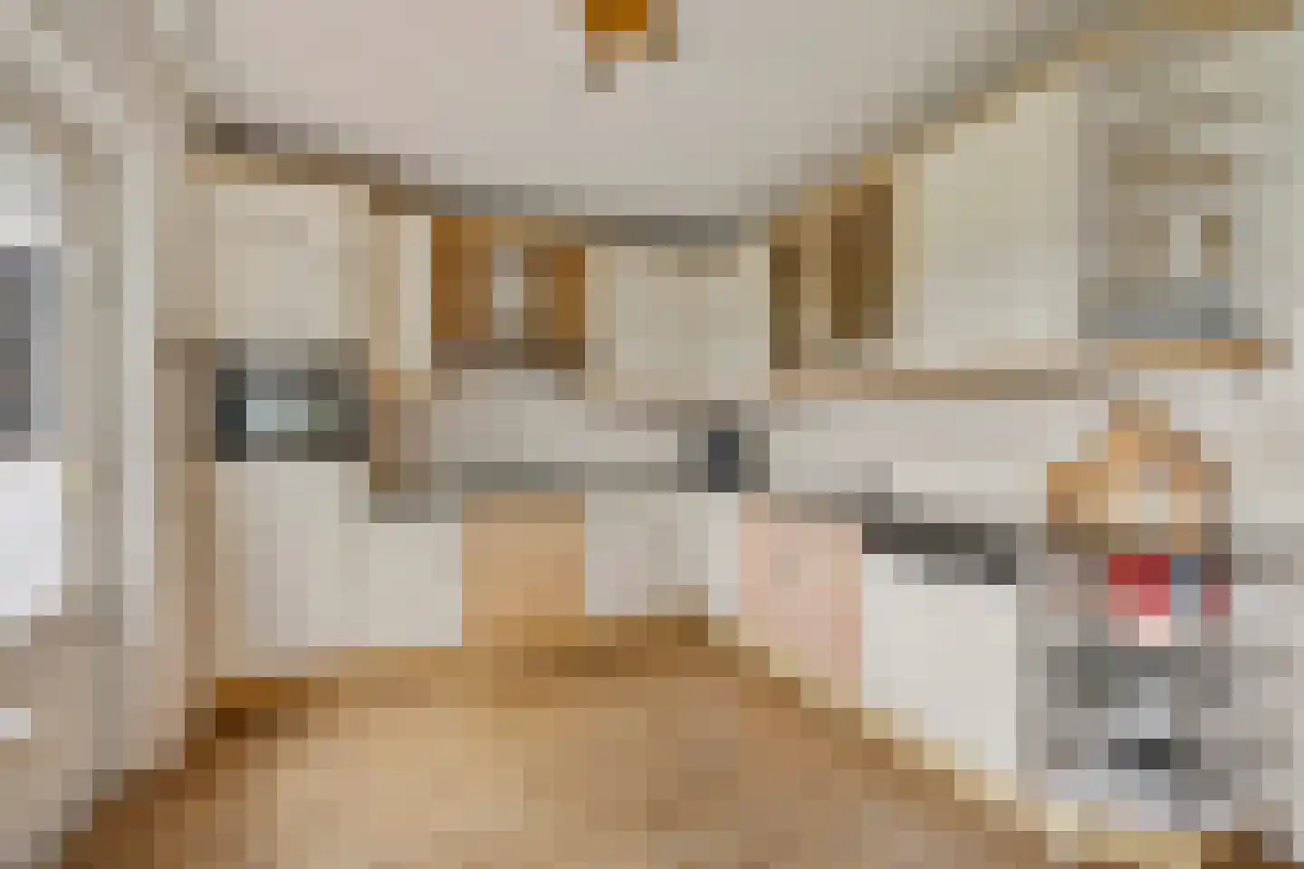 Fazantstraat 18 Lobith thumbnail 18