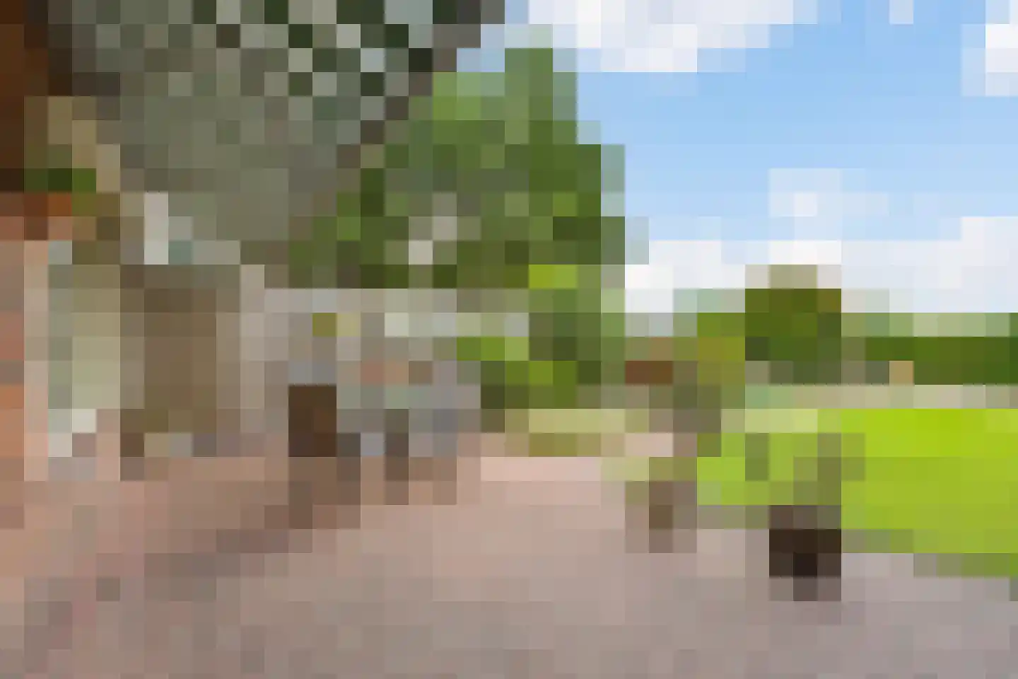 Fazantstraat 18 Lobith thumbnail 19