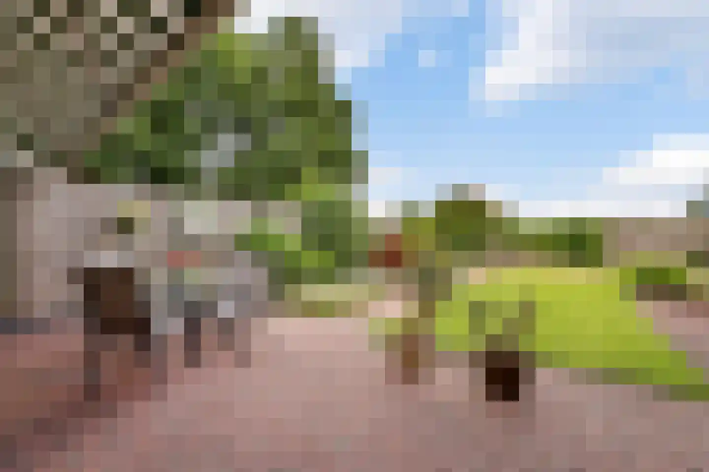 Fazantstraat 18 Lobith thumbnail 22