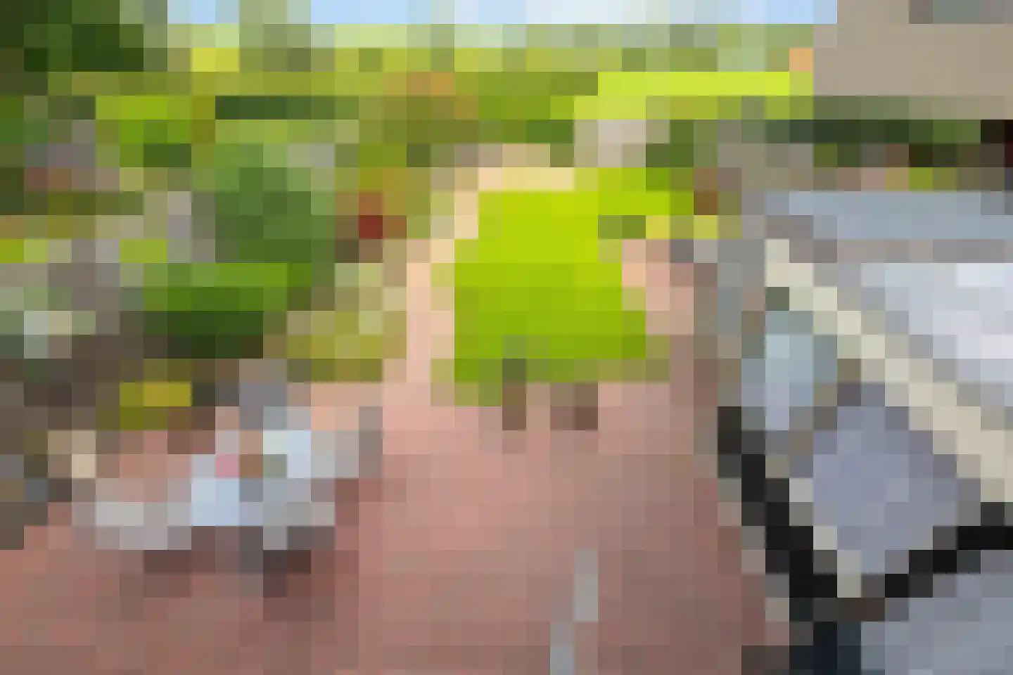 Fazantstraat 18 Lobith thumbnail 26
