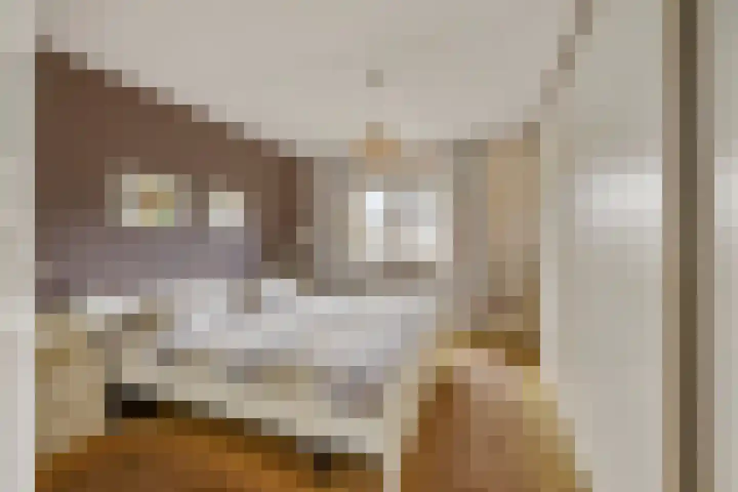 Fazantstraat 18 Lobith thumbnail 30