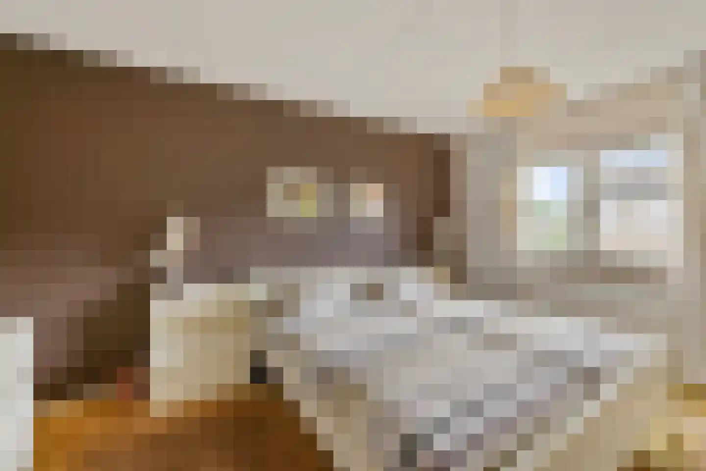Fazantstraat 18 Lobith thumbnail 31