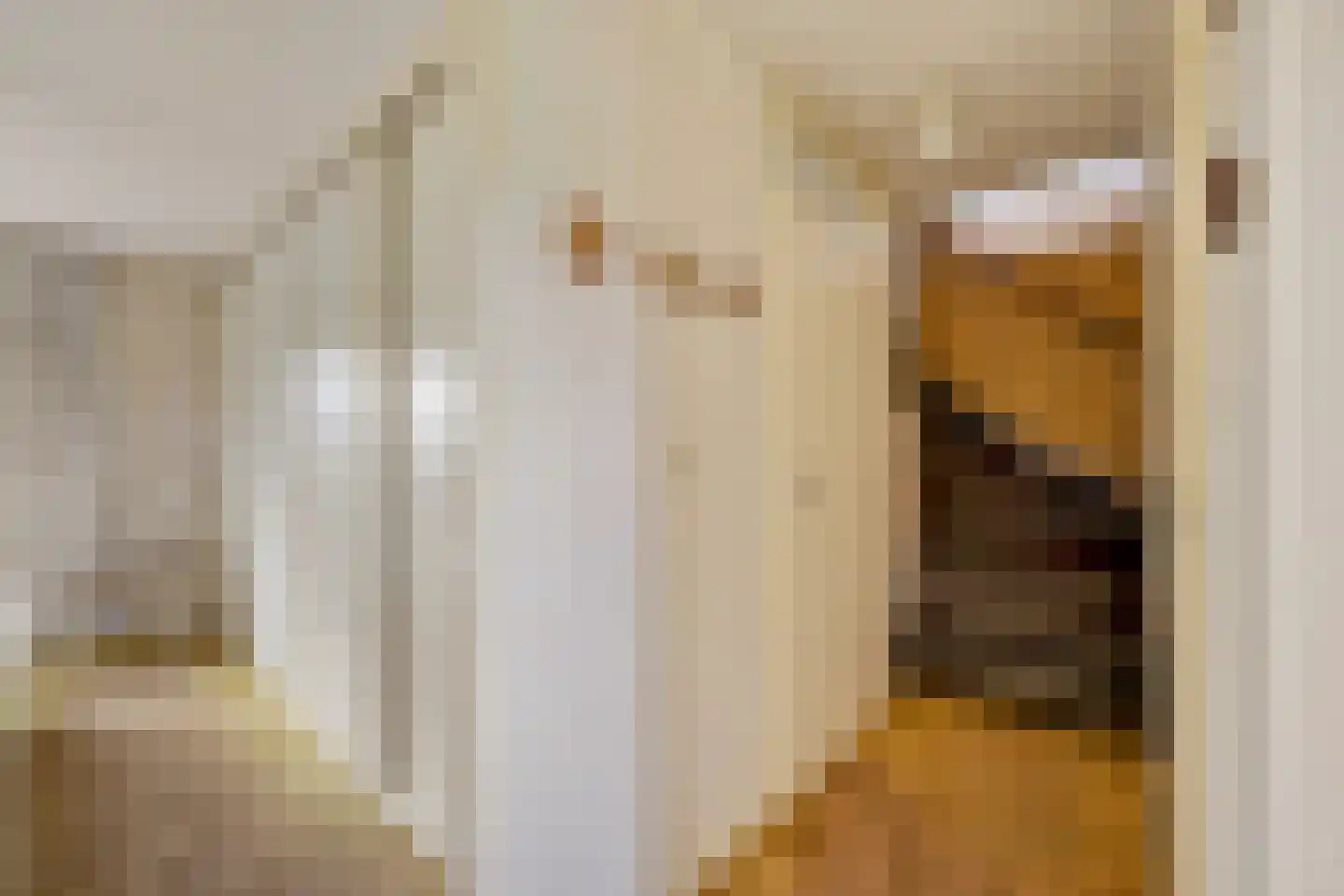 Fazantstraat 18 Lobith thumbnail 36