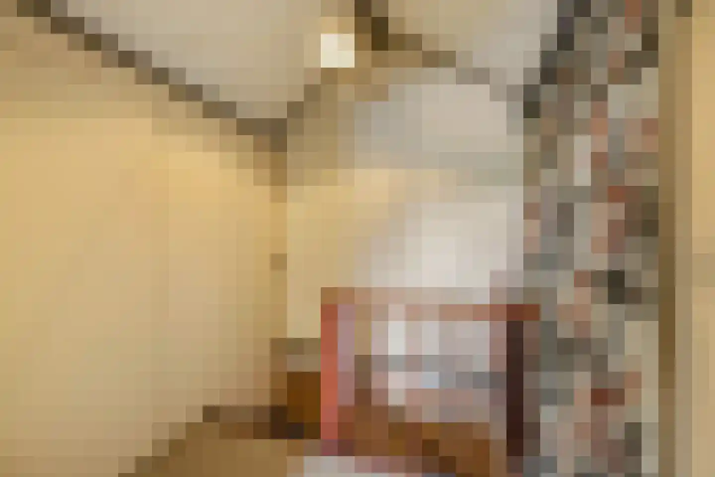 Fazantstraat 18 Lobith thumbnail 40