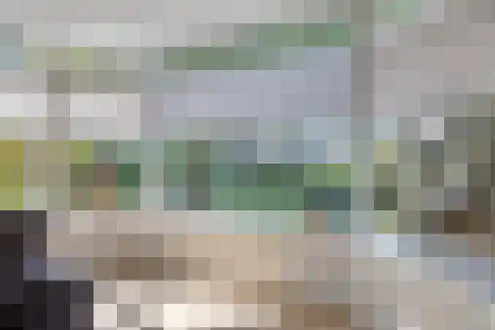 Fazantstraat 19 Borne thumbnail 12