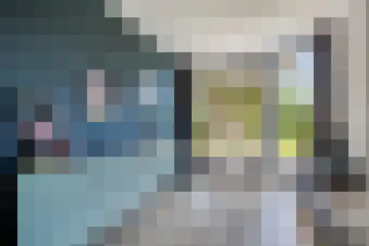 Fazantstraat 19 Borne thumbnail 16