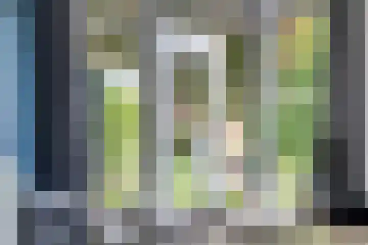Fazantstraat 19 Borne thumbnail 19