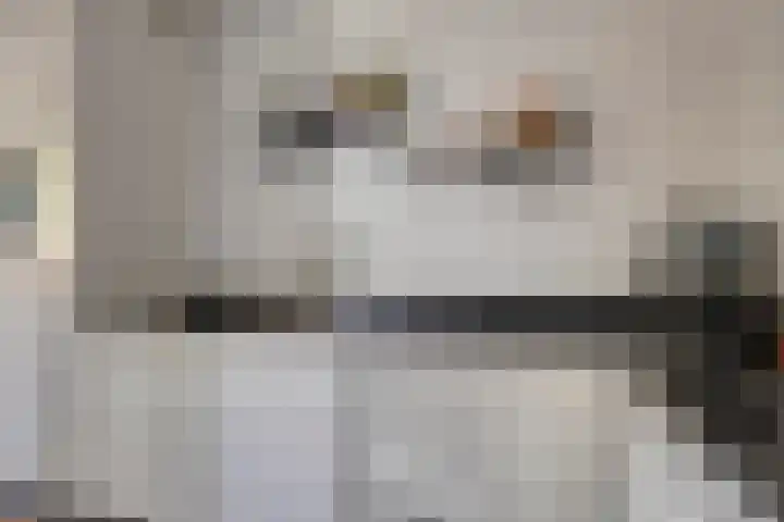 Fazantstraat 19 Borne thumbnail 23