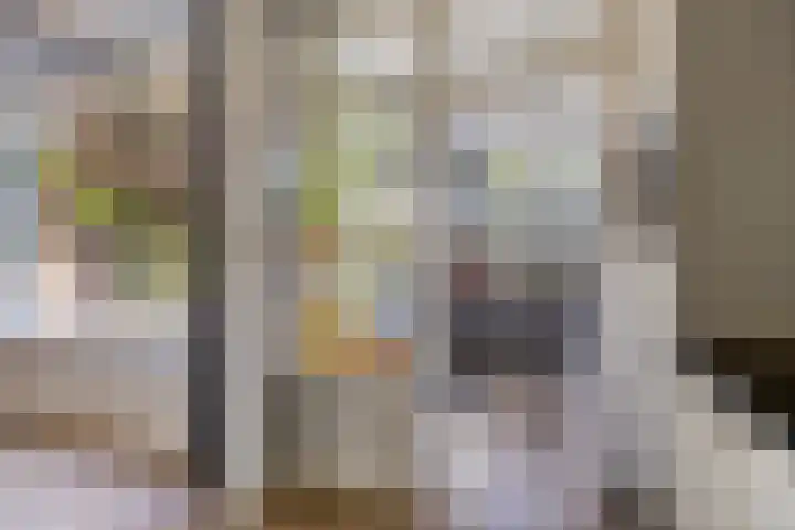 Fazantstraat 19 Borne thumbnail 24