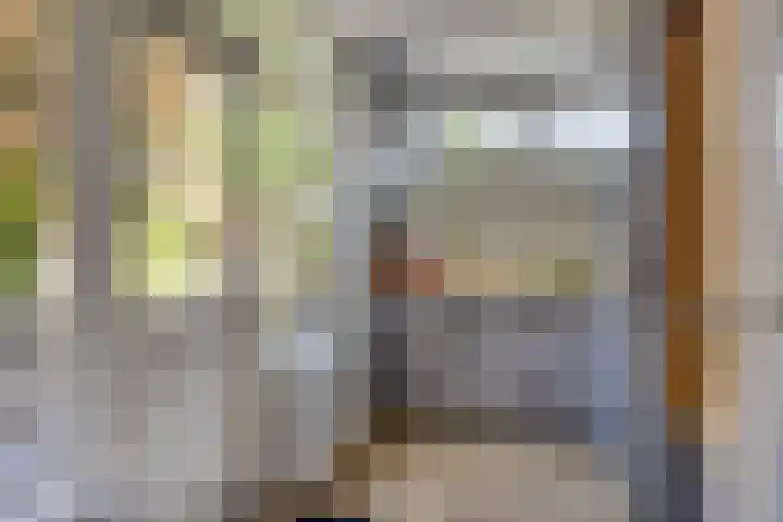 Fazantstraat 19 Borne thumbnail 25