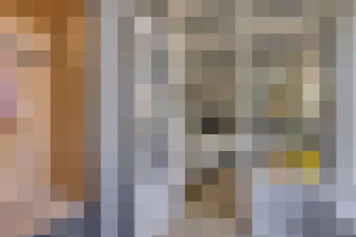Fazantstraat 19 Borne thumbnail 26