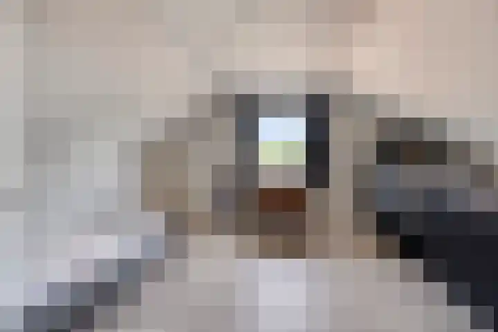 Fazantstraat 19 Borne thumbnail 36