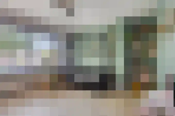 Fazantstraat 19 Borne thumbnail 38