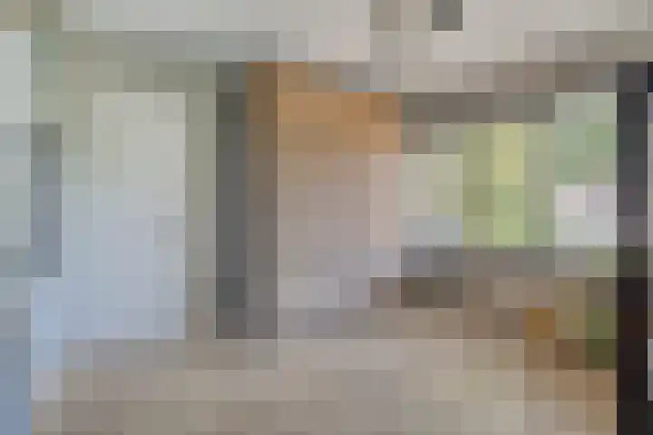 Fazantstraat 19 Borne thumbnail 39