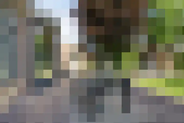Fazantstraat 19 Borne thumbnail 40