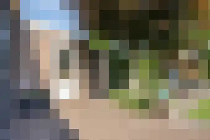 Fazantstraat 19 Borne thumbnail 42