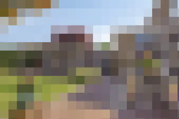 Fazantstraat 19 Borne thumbnail 43