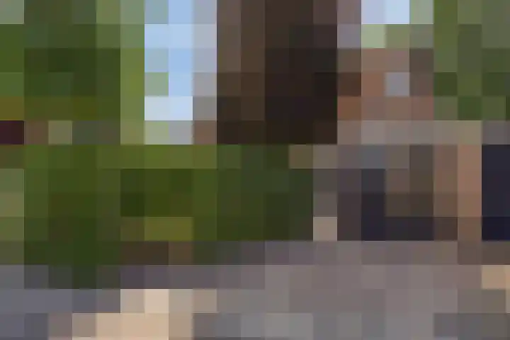 Fazantstraat 19 Borne thumbnail 46