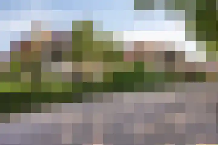 Fazantstraat 19 Borne thumbnail 47