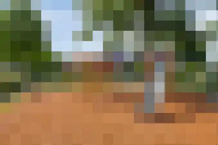 Fazantstraat 19 Borne thumbnail 48