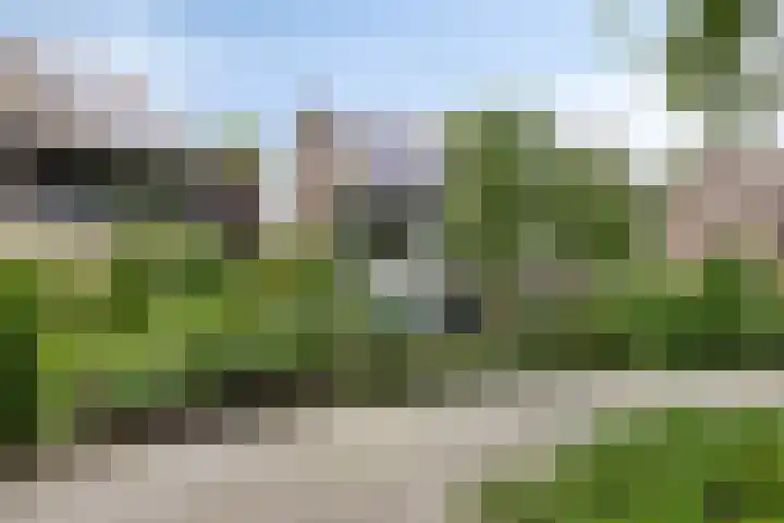 Fazantstraat 19 Borne thumbnail 49