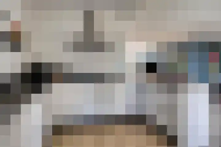 Fazantstraat 19 Borne thumbnail 5