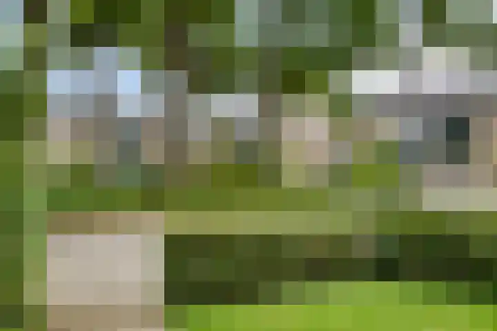 Fazantstraat 19 Borne thumbnail 50