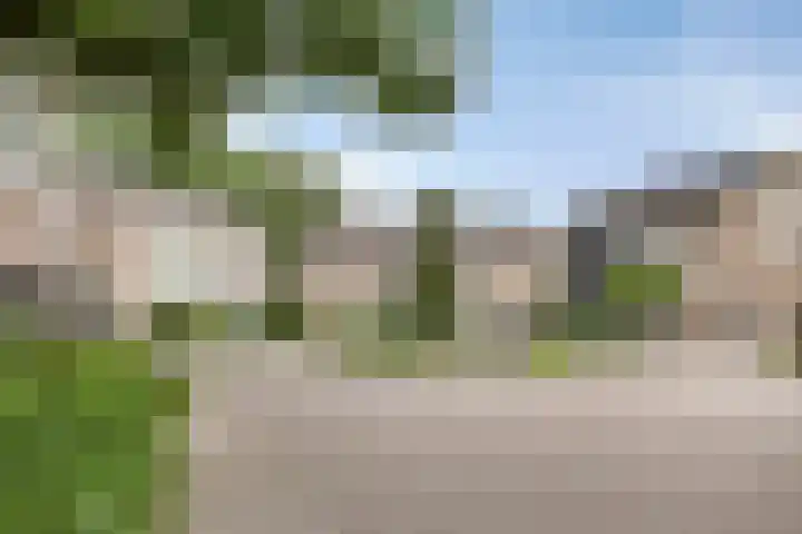 Fazantstraat 19 Borne thumbnail 51