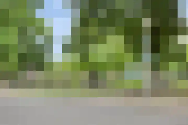 Fazantstraat 19 Borne thumbnail 52