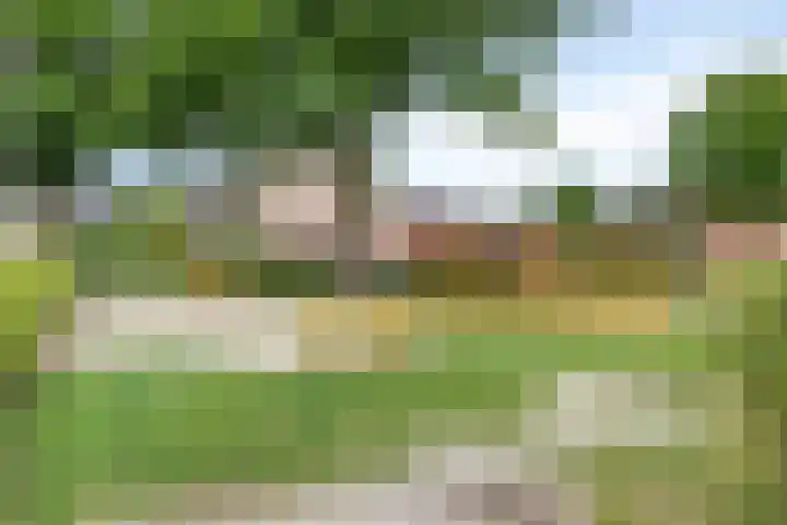 Fazantstraat 19 Borne thumbnail 53