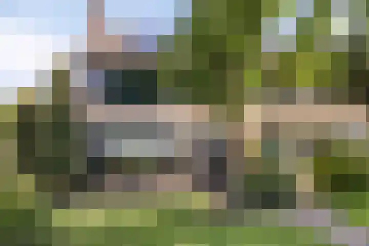 Fazantstraat 19 Borne thumbnail 57