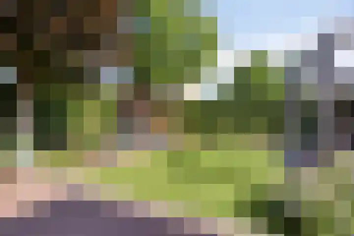 Fazantstraat 19 Borne thumbnail 6