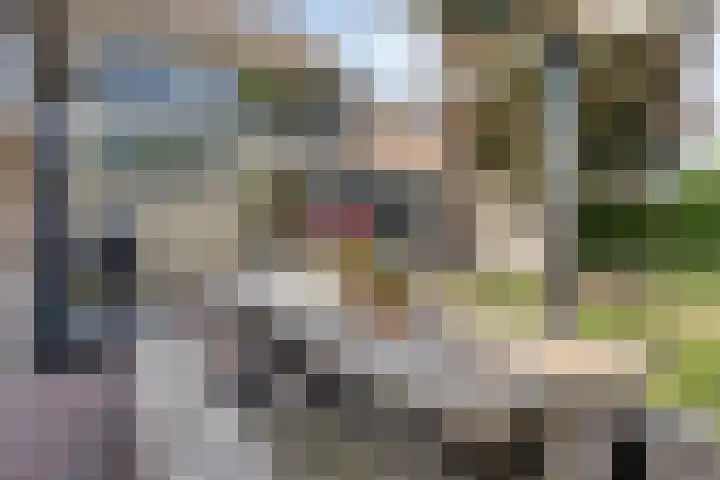 Fazantstraat 19 Borne thumbnail 7