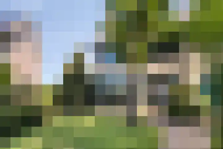 Fazantstraat 19 Borne thumbnail 8