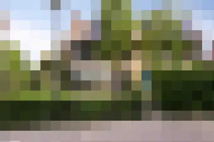 Fazantstraat 19 Borne thumbnail 9