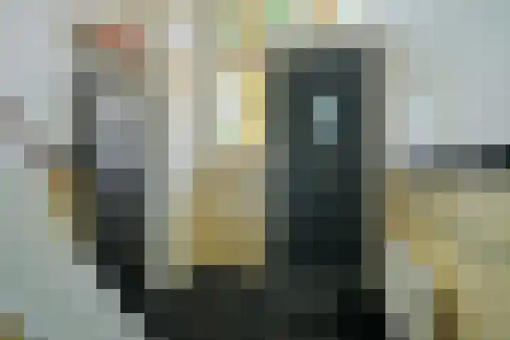 Fazantstraat 19 Breda thumbnail 11