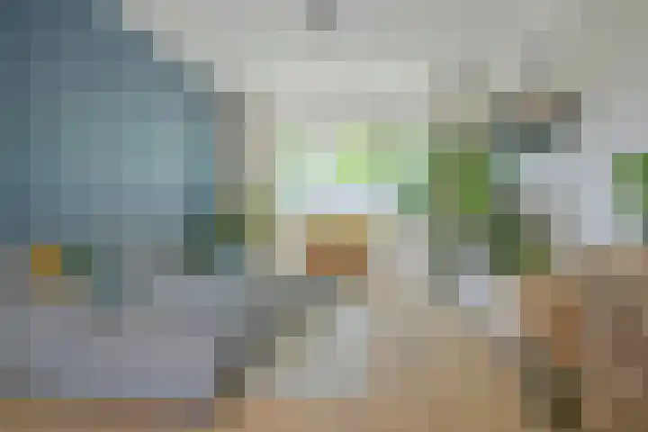 Fazantstraat 19 Breda thumbnail 15