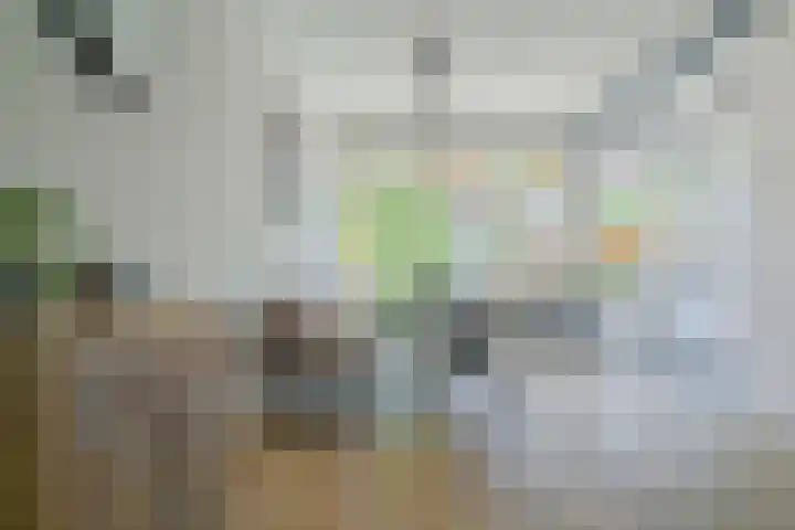 Fazantstraat 19 Breda thumbnail 19